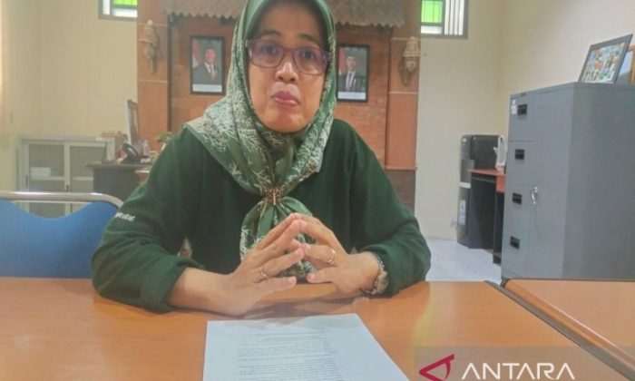 DP3 Sleman memperkuat pengamatan lapangan antisipasi serangan wereng