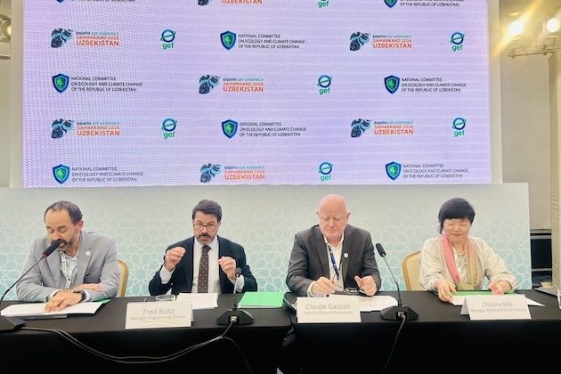 GEF Pushes Innovation, Blended Finance Ahead of the Eighth Assembly