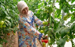 Smart Farming Is Not the Future. It Is Already Here