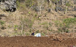 DPRD Gunungkidul ajukan Raperda perlindungan dan pemberdayaan petani