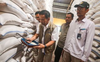 Bulog Kanwil Yogyakarta menyerap gabah berbagai kualitas dari petani