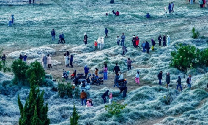 BMKG: Fenomena embun upas di Dieng berpotensi lebih sering pada kemarau 2026