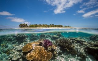Human-Caused Climate Change, Not El Niño, Drives Most Coral Bleaching Events – Research