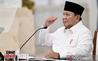 Prabowo sebut 250 BUMN ditutup hingga 31 Juli, penghematan mencapai Rp50 T