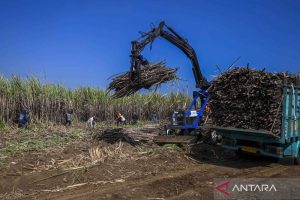 Prabowo sampaikan rasa bangga ke petani seluruh Indonesia