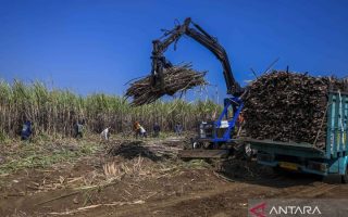 Prabowo sampaikan rasa bangga ke petani seluruh Indonesia