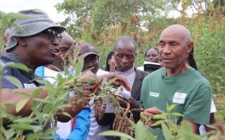 How Farmers Are Learning About Restoring Soils and Scaling Agroecology in Kenya
