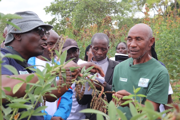 How Farmers Are Learning About Restoring Soils and Scaling Agroecology in Kenya