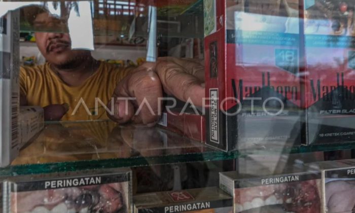 Kemenaker: penyeragaman kemasan rokok berdampak ketidakstabilan sosial