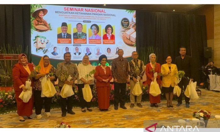 Kowani luncurkan Festival Panen Raya perkuat ketahanan pangan