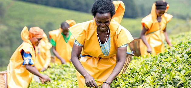 Feeding Africa: Women Farmers Key to Ending Hunger