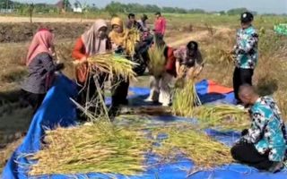 Wabup Gunungkidul dorong penerapan inovasi pertanian ramah lingkungan