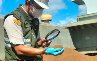 Hasil hutan bukan kayu diminati pasar dunia