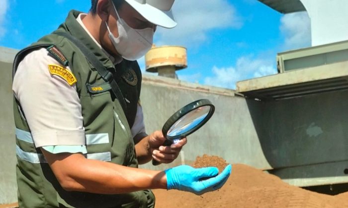 Hasil hutan bukan kayu diminati pasar dunia