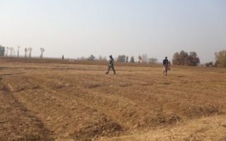 Preparing Agriculture for a New Era of Extreme Weather