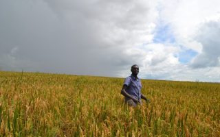 World Hunger Is Falling – We Know How To Keep It That Way