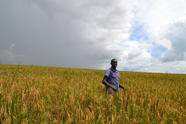 World Hunger Is Falling – We Know How To Keep It That Way