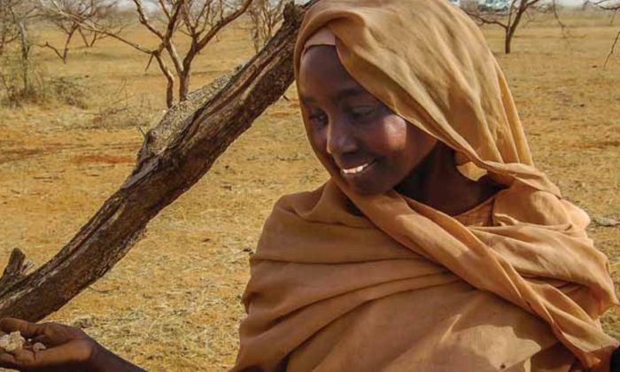 Looted gold and gum arabic are bankrolling Sudan's war, UN warns