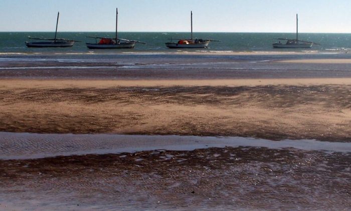 UN refugee agency reports 144 migrants dead or missing off Mauritanian coast
