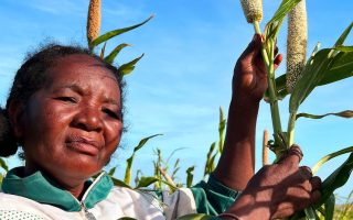 El Niño forecast to intensify, increasing likelihood of extreme weather