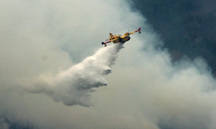 Wildfires: Prevention is the best defence, UN says