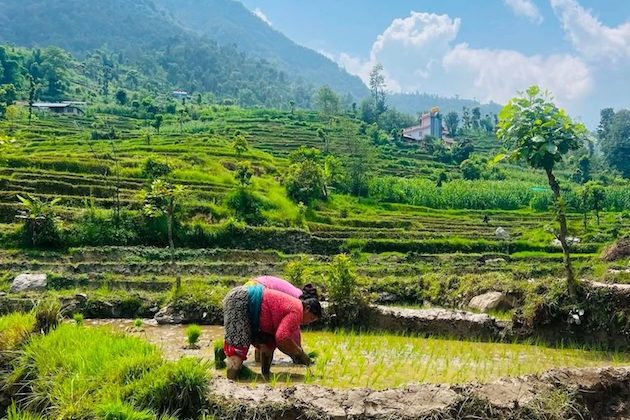 Dry Monsoon in South Asia: Looming Fears of Agricultural Loss, Extreme Heat, and Disaster