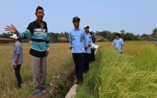 Kulon Progo mempercepat pengadaan TKD Palihan terdampak pembangunan YIA