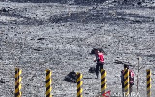 TNBTS catat area terdampak kebakaran di Bromo mencapai 520 hektare