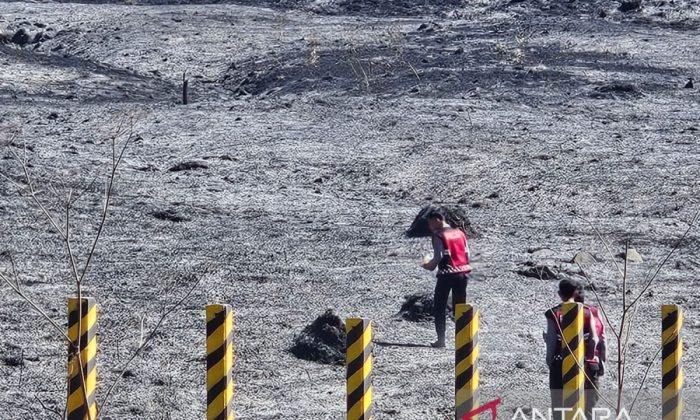 TNBTS catat area terdampak kebakaran di Bromo mencapai 520 hektare