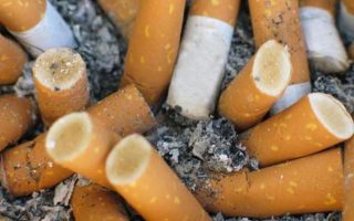 Puntung Rokok Jadi Biang Kebakaran pada 2 Lokasi, Karhutla di Riau dan Lahan Rumput Kering di Lampung
