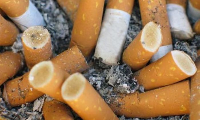 Puntung Rokok Jadi Biang Kebakaran pada 2 Lokasi, Karhutla di Riau dan Lahan Rumput Kering di Lampung
