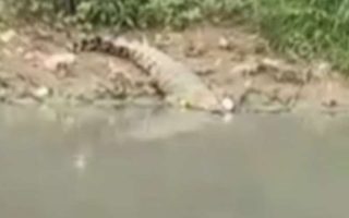 Kejadian Mengerikan di Sungai Guntung Karawang, Pria Paruh Baya Hilang Saat Mancing Dini Hari