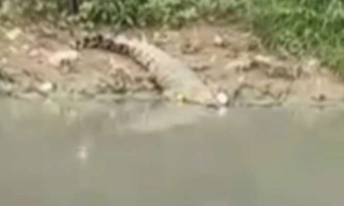 Kejadian Mengerikan di Sungai Guntung Karawang, Pria Paruh Baya Hilang Saat Mancing Dini Hari