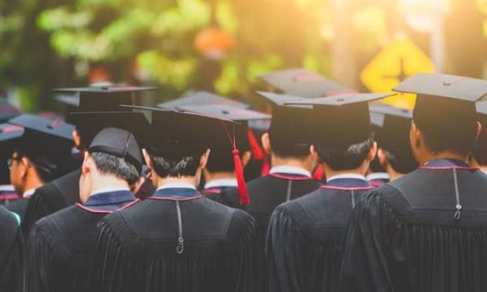 Ingin Jadi Pegawai BUMN? Ini 15 Jurusan Kuliah yang Peluang Kerjanya Terbuka Lebar