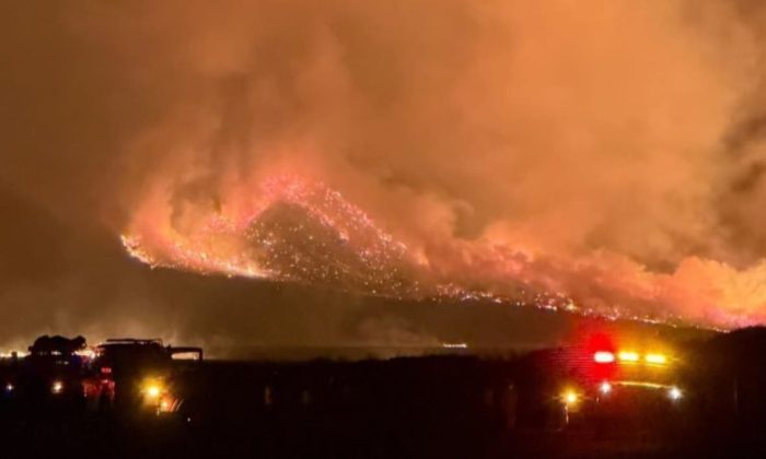 Seluruh Akses Masuk Gunung Bromo Ditutup Total Imbas Kebakaran yang Makin Meluas