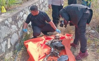 Misteri Kerangka Manusia di Tanjungpinang, Ditemukan Sesaat Usai Kebakaran Lahan
