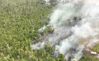 KLH Hitung Kerugian Negara Imbas Karhutla Capai Rp5,30 Triliun, 19 Perusahaan Diperiksa