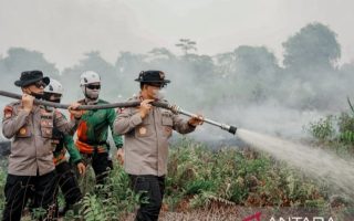 Karhutla 20 Hektare Gambut di Kubu Raya, Kapolda Kalbar Ungkap Ancaman Bara Api di Bawah Tanah