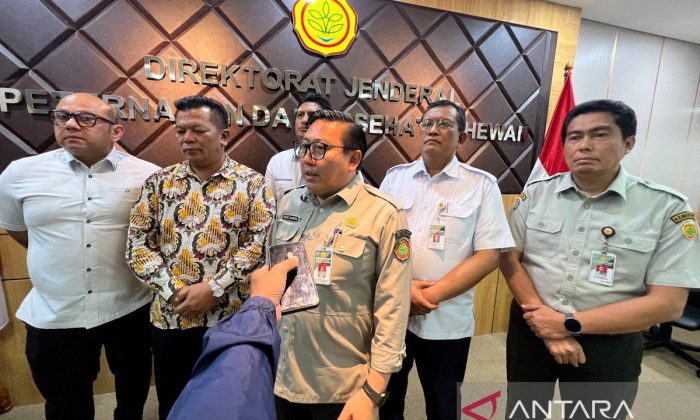 Kementan usulkan telur masuk skema CPP demi lindungi peternak rakyat