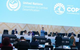 Africa’s Pastoralists Need More Than COP17’s $1.2 billion Rangelands Pledge