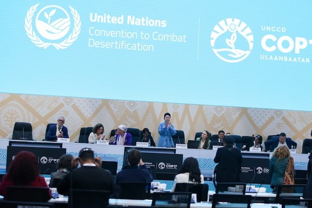 Africa’s Pastoralists Need More Than COP17’s $1.2 billion Rangelands Pledge