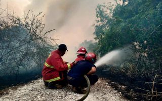 BNPB minta negara-negara tidak saling menyalahkan soal asap karhutla