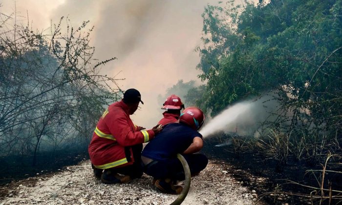 BNPB minta negara-negara tidak saling menyalahkan soal asap karhutla