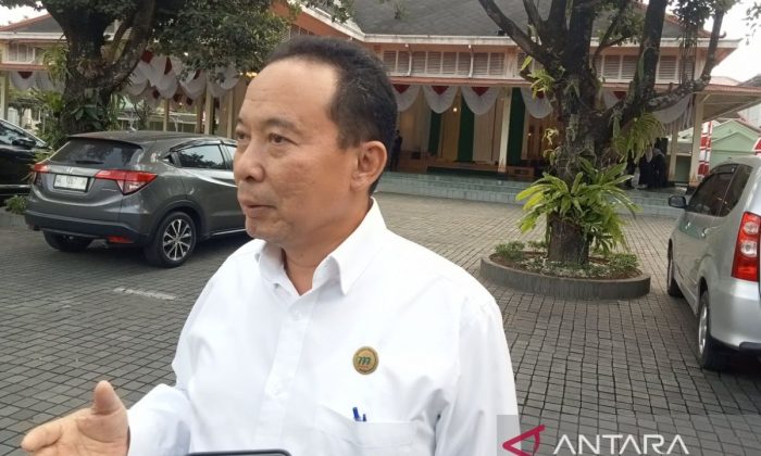 DKP DIY optimalkan lahan milik kalurahan untuk budi daya lele dan nila