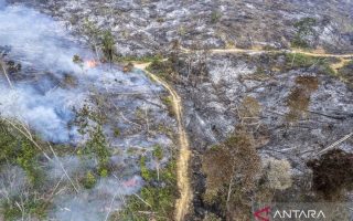 Kapolri pastikan kepolisian telah tangkap pelaku karhutla