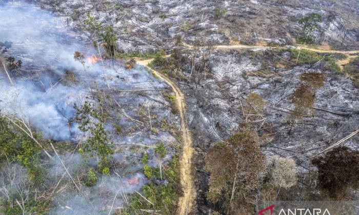 Kapolri pastikan kepolisian telah tangkap pelaku karhutla
