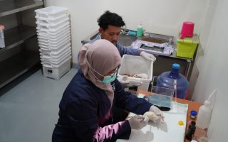 Unisa Yogyakarta perkuat ekosistem riset lewat Laboratorium Animal House