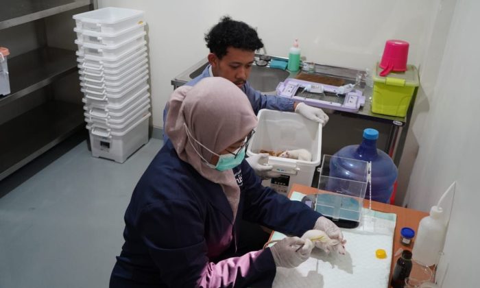Unisa Yogyakarta perkuat ekosistem riset lewat Laboratorium Animal House