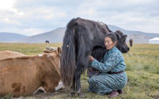 The Year of Pastoralists Must Be More Than Symbolic