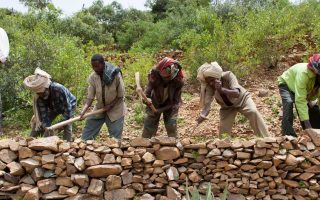 Protecting our ‘most vital infrastructure’: Pushing back on desertification